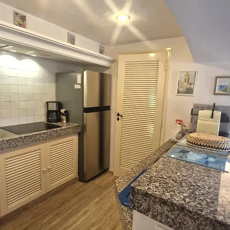 2 Pieces Climatise Avec Terrasse Et Parking, Proche Centre - Fr-1-780-84 Daire *